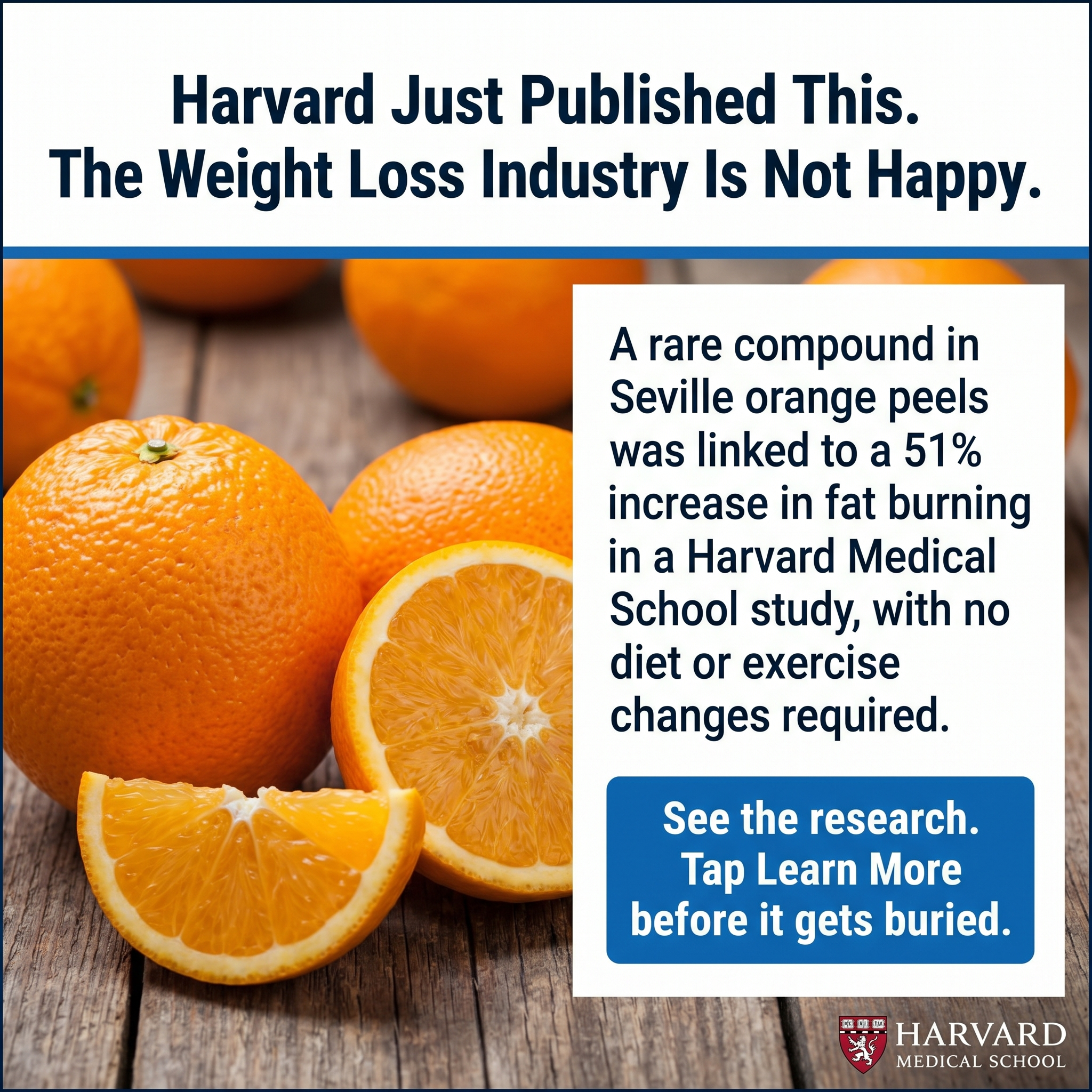 Lifestyle Wellness Image